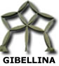 gibellina